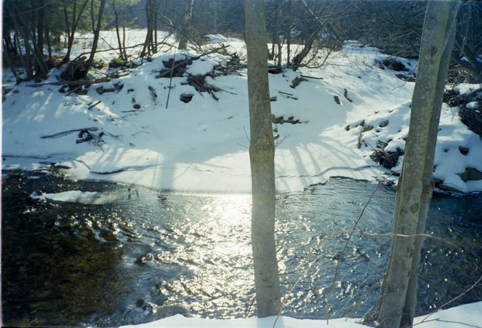 minerva_deak_f_c5_s2_237_loves-039