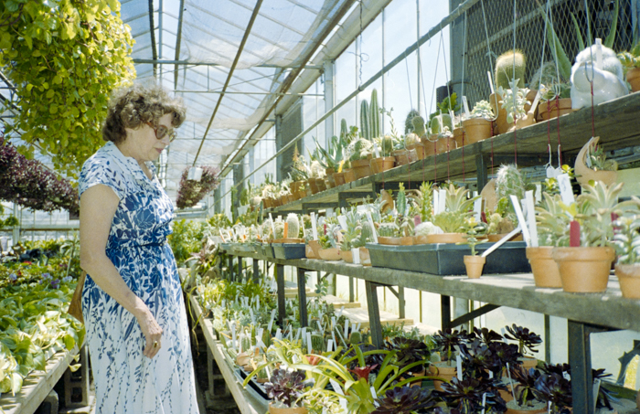 minerva_deak_f_c5_s2_243_zsofi_manhattan_1988-003