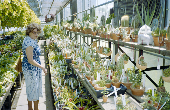 minerva_deak_f_c5_s2_243_zsofi_manhattan_1988-013