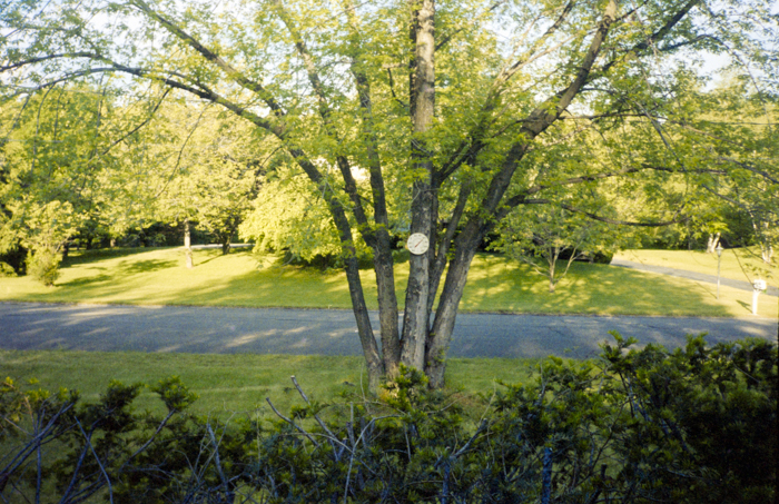 minerva_deak_f_c5_s2_243_zsofi_manhattan_1988-048