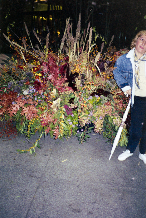 minerva_deak_f_c5_s2_244_juli_1988-012