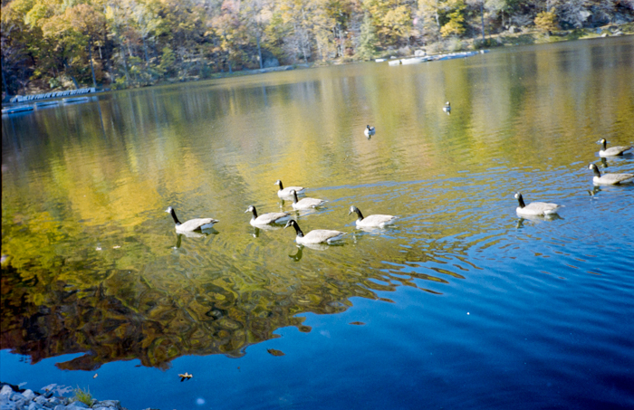 minerva_deak_f_c5_s2_247_jul;i_jancsikia_szulinap_1988-007