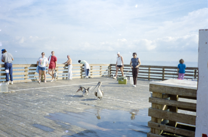 minerva_deak_f_c5_s2_249_juli_florida_1988-005