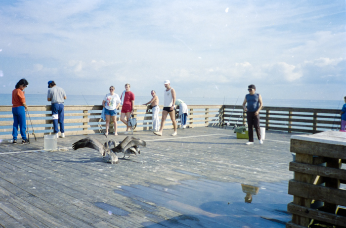 minerva_deak_f_c5_s2_249_juli_florida_1988-010