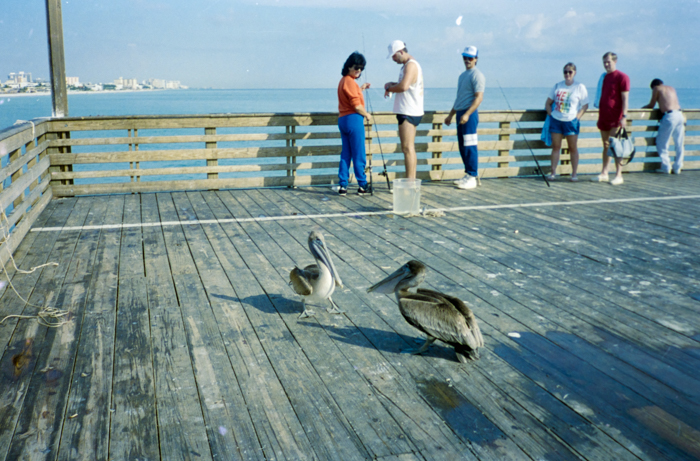 minerva_deak_f_c5_s2_249_juli_florida_1988-012