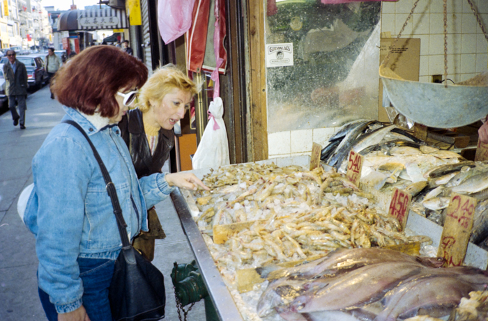 minerva_deak_f_c5_s2_249_juli_florida_1988-037