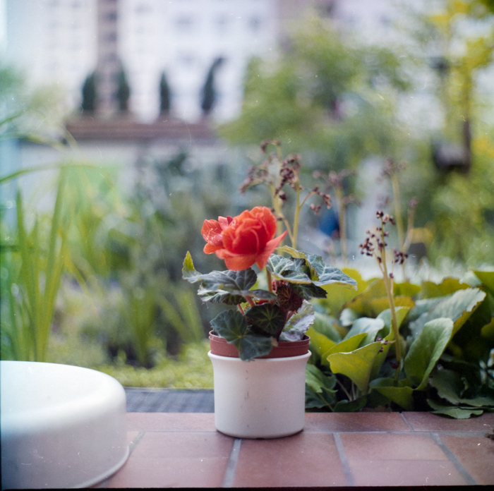 minerva_deak_f_c5_s2_272_nemetorszag_1989-005