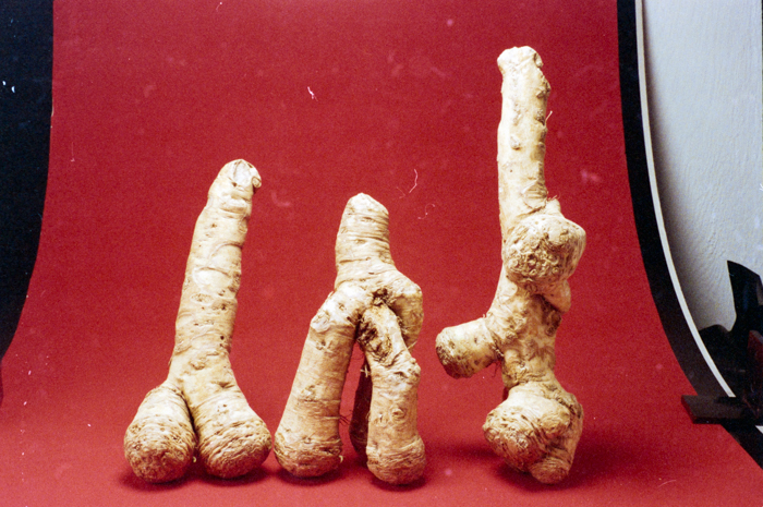 minerva_deak_f_c6_s1_275_1989-001