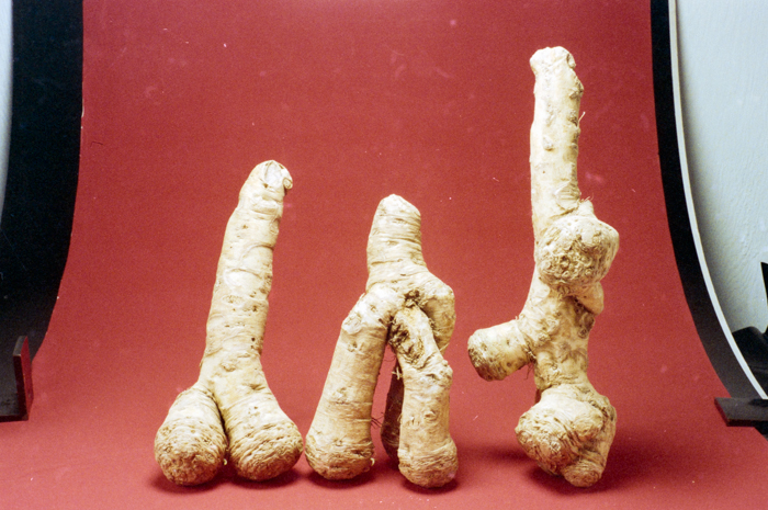 minerva_deak_f_c6_s1_275_1989-002