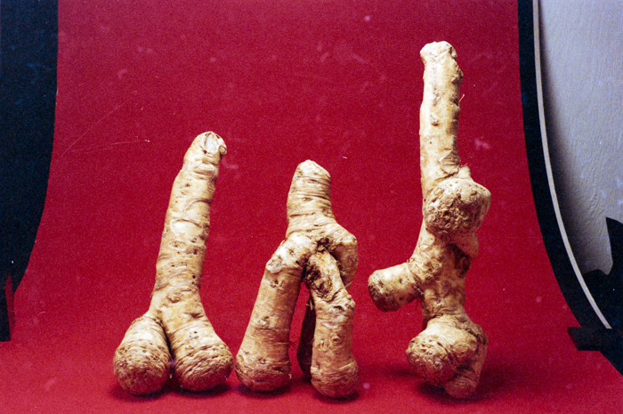 minerva_deak_f_c6_s1_275_1989-003