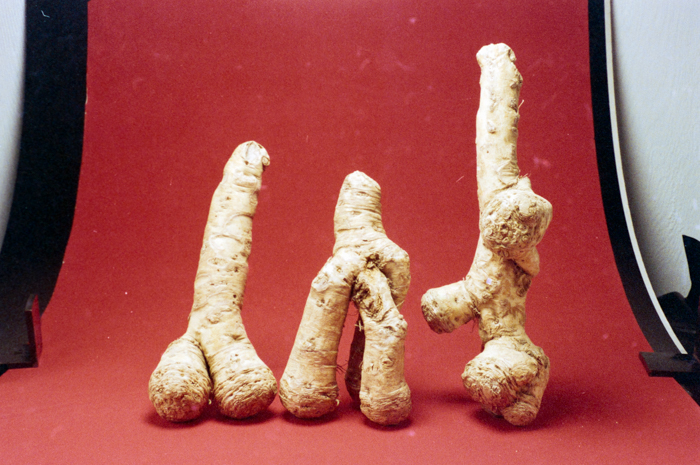 minerva_deak_f_c6_s1_275_1989-005