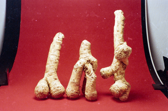 minerva_deak_f_c6_s1_275_1989-006