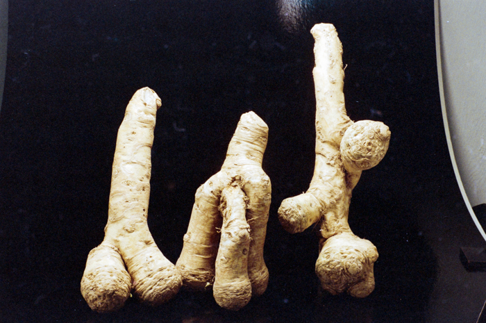 minerva_deak_f_c6_s1_275_1989-007