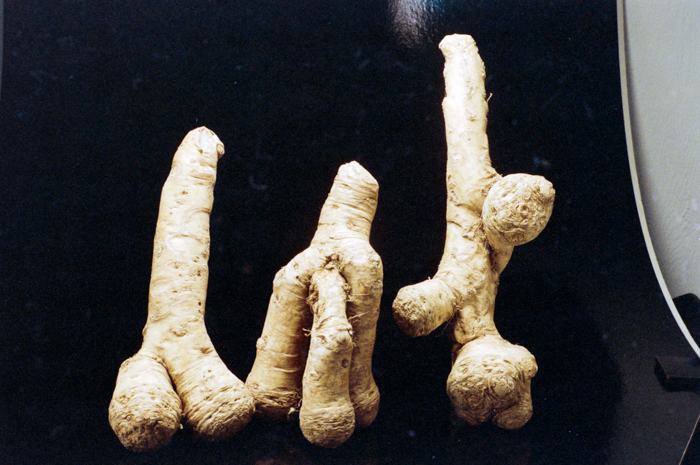 minerva_deak_f_c6_s1_275_1989-008