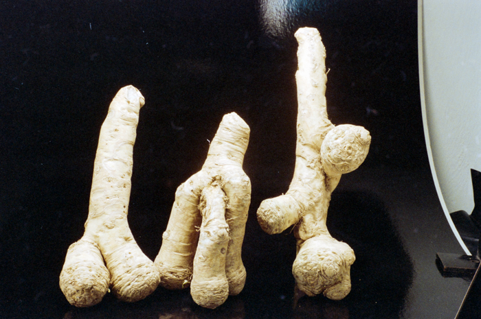 minerva_deak_f_c6_s1_275_1989-009