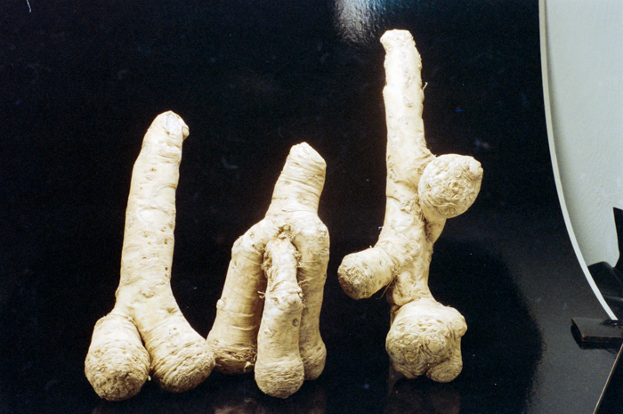 minerva_deak_f_c6_s1_275_1989-010