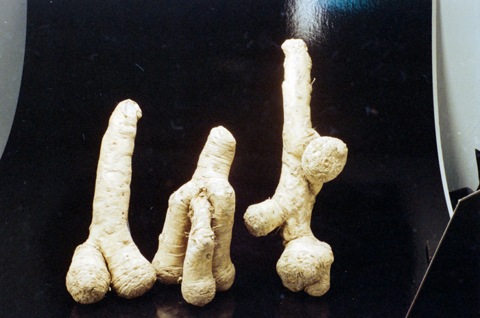 minerva_deak_f_c6_s1_275_1989-011