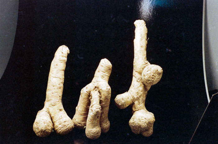 minerva_deak_f_c6_s1_275_1989-013