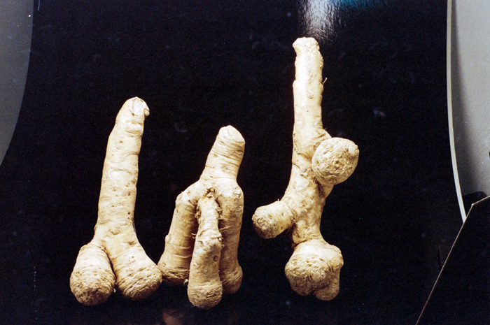 minerva_deak_f_c6_s1_275_1989-014