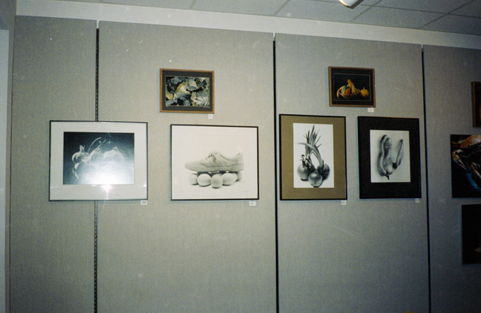 minerva_deak_f_c6_s1_277_kiallitas_spring_walley-008