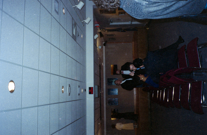 minerva_deak_f_c6_s1_277_kiallitas_spring_walley-010