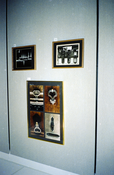 minerva_deak_f_c6_s1_277_kiallitas_spring_walley-022