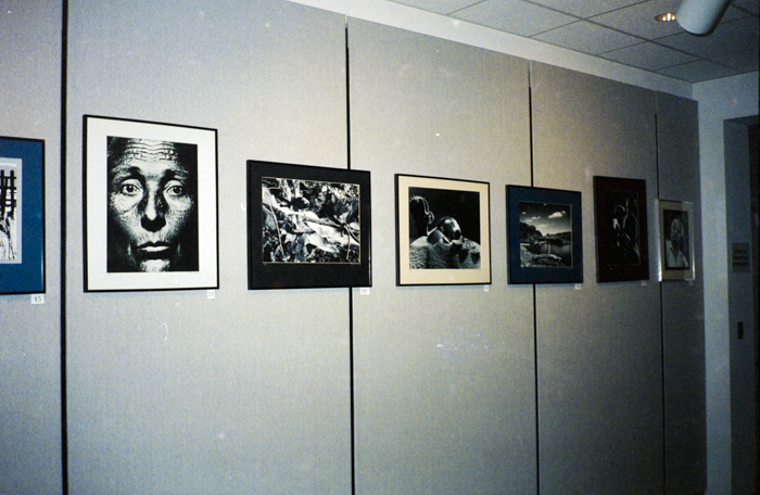 minerva_deak_f_c6_s1_277_kiallitas_spring_walley-024