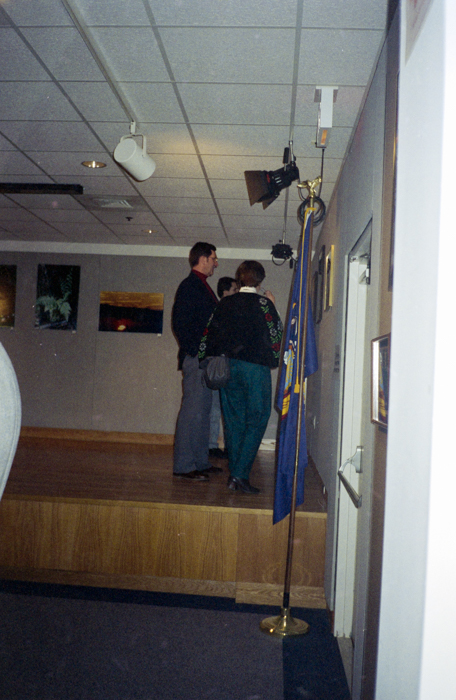 minerva_deak_f_c6_s1_277_kiallitas_spring_walley-026