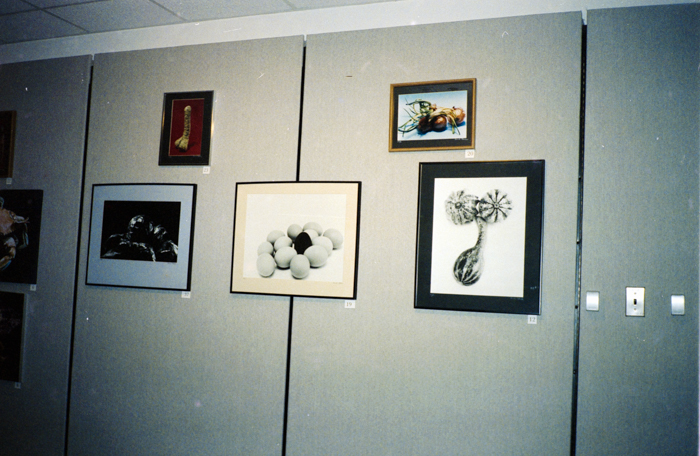 minerva_deak_f_c6_s1_277_kiallitas_spring_walley-039