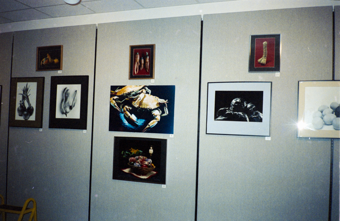 minerva_deak_f_c6_s1_277_kiallitas_spring_walley-040