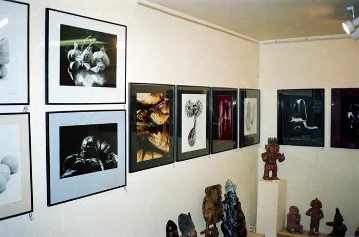 minerva_deak_f_c6_s1_288_kiallitasaim_coldspring_terasz_1989-001