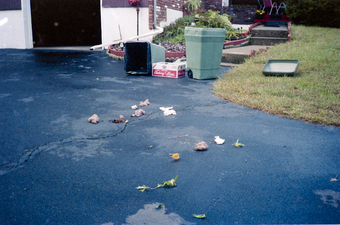 minerva_deak_f_c6_s1_288_kiallitasaim_coldspring_terasz_1989-016