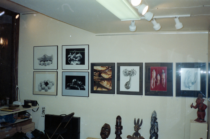 minerva_deak_f_c6_s1_288_kiallitasaim_coldspring_terasz_1989-022