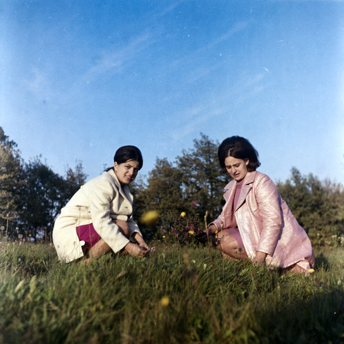 minerva_deak_f_c6_s1_291-003