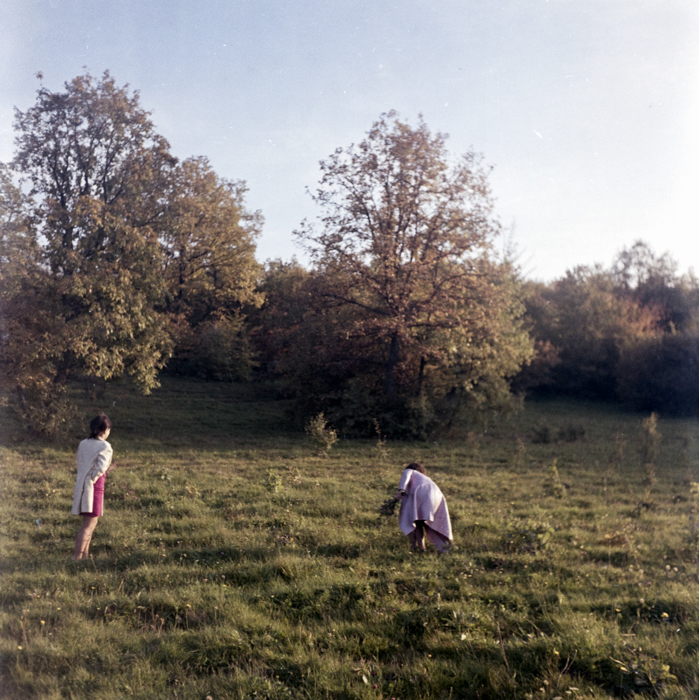 minerva_deak_f_c6_s1_291-004