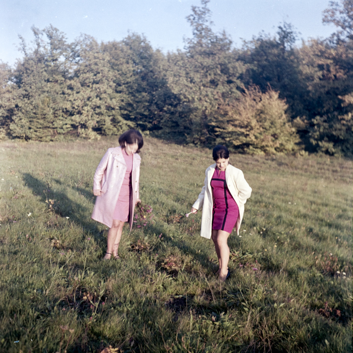 minerva_deak_f_c6_s1_291-005