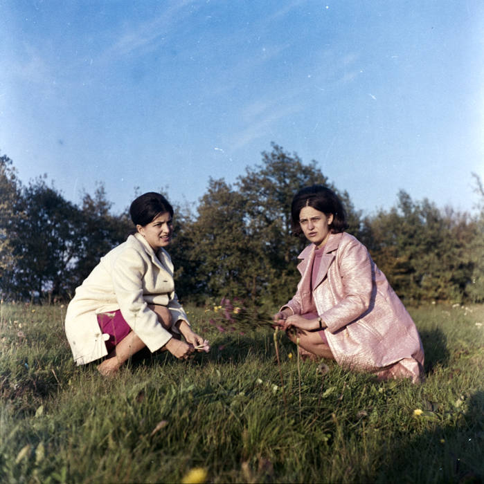 minerva_deak_f_c6_s1_291-007