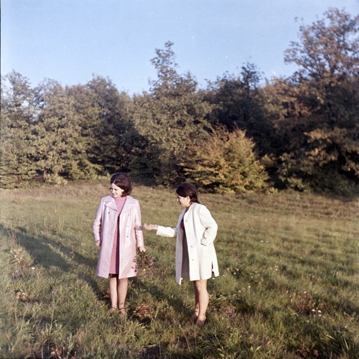 minerva_deak_f_c6_s1_291-009