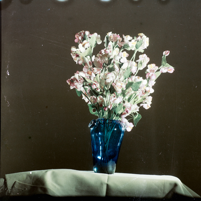 minerva_deak_f_c6_s1_291-010