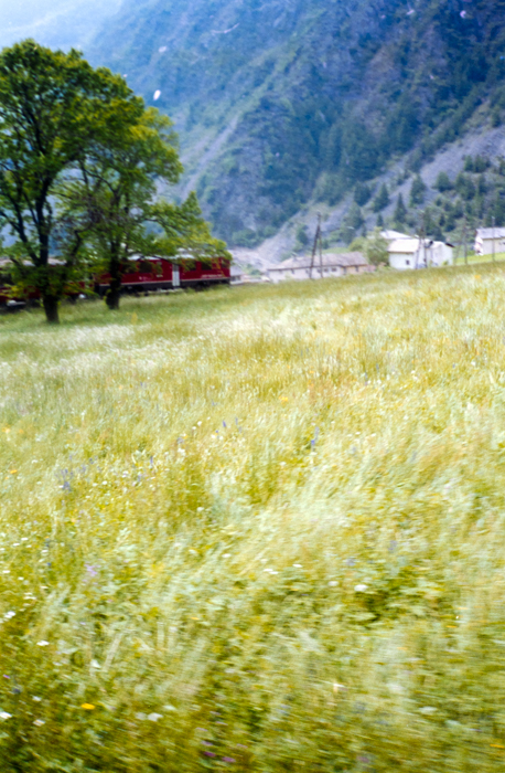 minerva_deak_f_c6_s2_303_svajc_1989-005