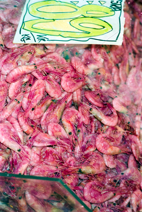 minerva_deak_f_c6_s2_313_sweden_1990-91-021