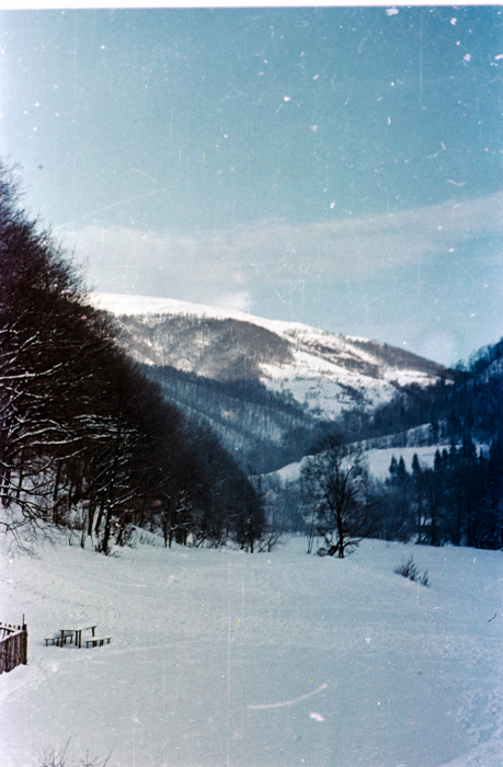 minerva_deak_f_c6_s3_322-005