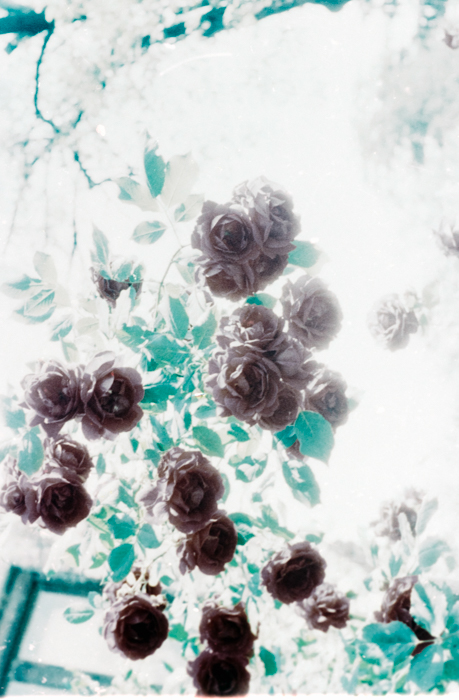 minerva_deak_f_c6_s3_322-010