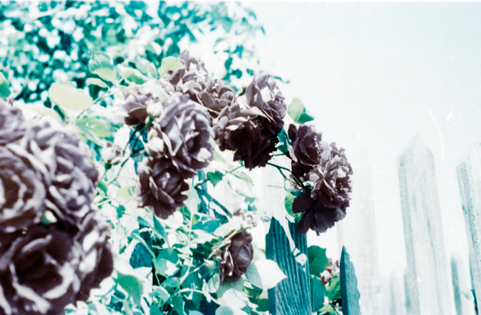 minerva_deak_f_c6_s3_322-014