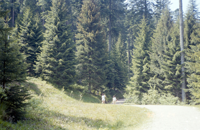 minerva_deak_f_c6_s3_324_maludi_filmje_1992-008