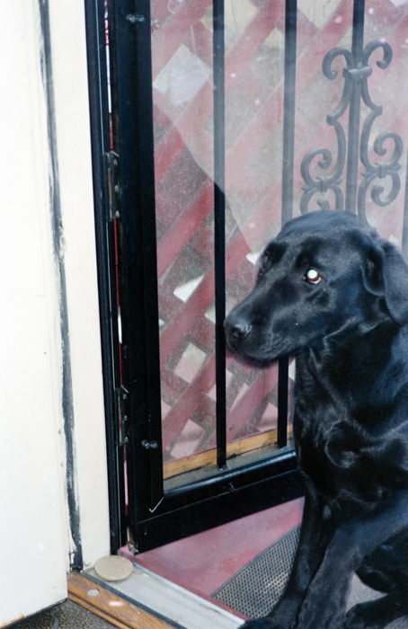 minerva_deak_f_c6_s3_327_karacsony_1991-011