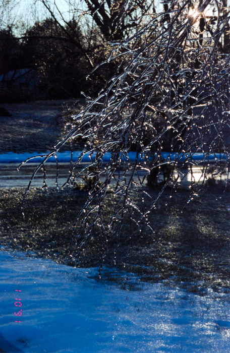 minerva_deak_f_c6_s3_341_svedorszag_pisti_1991-036