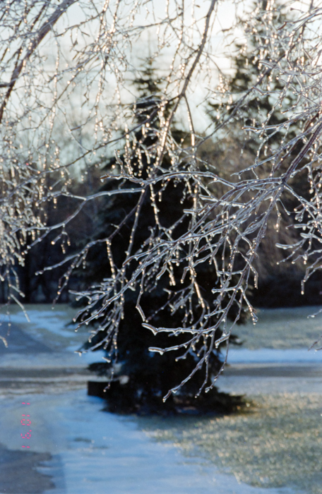 minerva_deak_f_c6_s3_341_svedorszag_pisti_1991-037