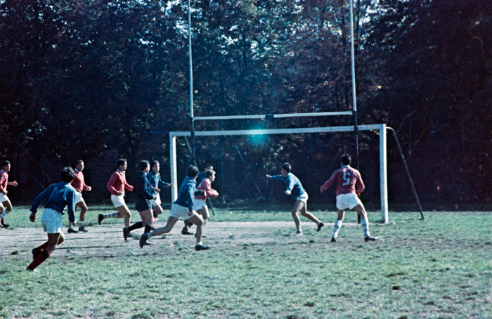 minerva_deak_f_c6_s3_color_323-011