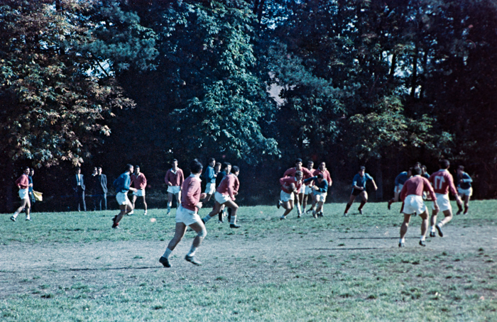 minerva_deak_f_c6_s3_color_323-012